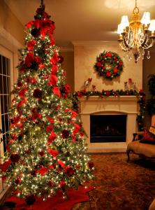 christmas trees ideas eGpV